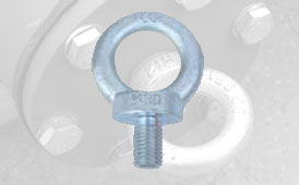 Mild Steel Eye Bolts